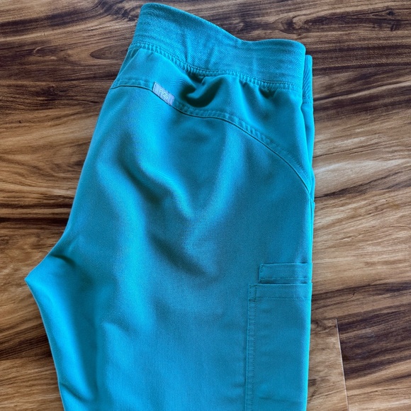 Figs Pants - FIGS Size L Cactus Color Scrub Pants